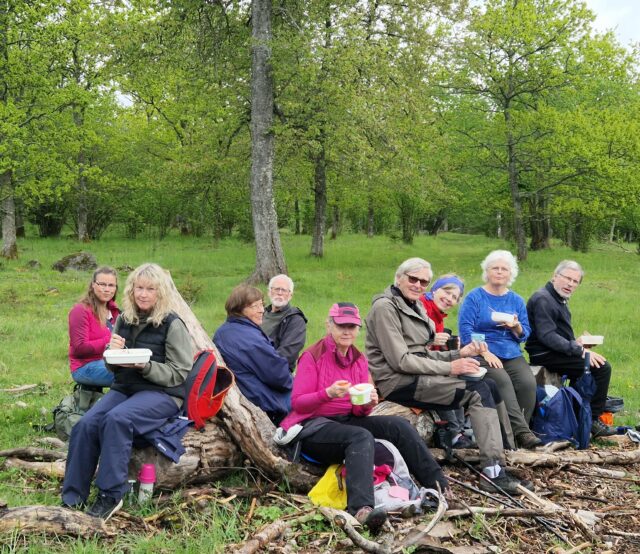 Pilgrimsvandring